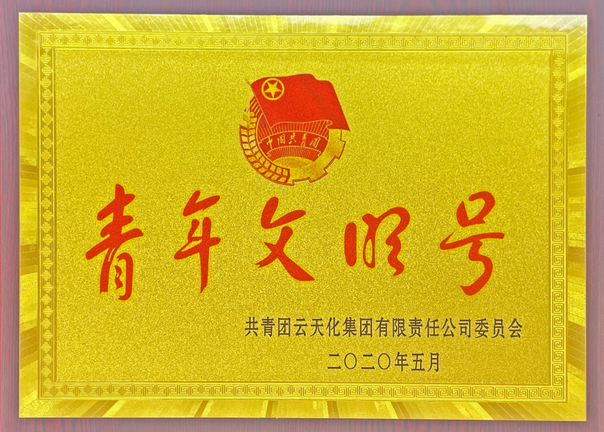 農資-2020-集團授予“青年文明號”榮...