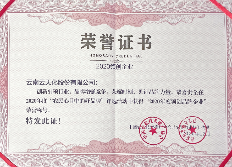 股份-2020-“2020年度領(lǐng)創(chuàng)品牌企...